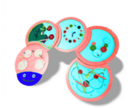 Тактильно-развивающая панель «Гусеница» - fgospostavki.ru - Тихорецк