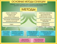 Стенд "Методы селекции и биотехнологии" - fgospostavki.ru - Тихорецк