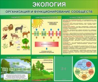 Стенд "Экология. Организация и функционирование сообществ" - fgospostavki.ru - Тихорецк