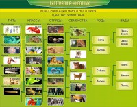 Стенд "Систематика животных" - fgospostavki.ru - Тихорецк