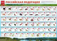 Стенд "Красная книга РФ" - fgospostavki.ru - Тихорецк