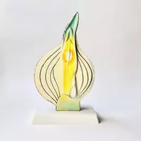 Модель Луковица в разрезе - fgospostavki.ru - Тихорецк