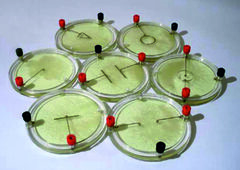 Демонстрационный комплект «Силовые линии электрического поля разных систем зарядов» - fgospostavki.ru - Тихорецк