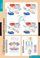 Комплект таблиц. Физика. Электромагнетизм. - fgospostavki.ru - Тихорецк