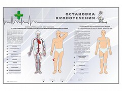 Электрифицированный стенд "Остановка кровотечения" - fgospostavki.ru - Тихорецк