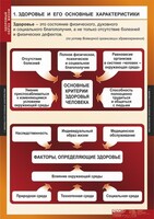 Комплект таблиц. ОБЖ. Здоровый образ жизни. - fgospostavki.ru - Тихорецк