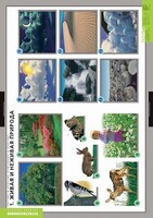 Комплект таблиц. Окружающий мир. Летние и осенние изменения в природе. - fgospostavki.ru - Тихорецк