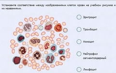 Интерактивные курсы. Биология 11 класс. Расширенный. - fgospostavki.ru - Тихорецк