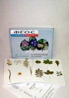 Гербарий "Морфология растений" (5 тем х 3 листа) - fgospostavki.ru - Тихорецк