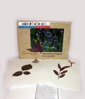 Гербарий "Дикорастущие растения" (28 видов) - fgospostavki.ru - Тихорецк