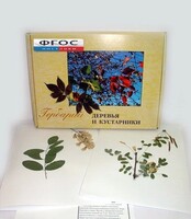 Гербарий "Деревья и кустарники" (20 видов) - fgospostavki.ru - Тихорецк