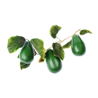 Ветка муляжей "Авокадо" - fgospostavki.ru - Тихорецк