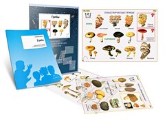 Комплект кодотранспарантов "Грибы" - fgospostavki.ru - Тихорецк