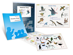 Комплект кодотранспарантов "Зоология. Птицы" - fgospostavki.ru - Тихорецк