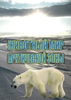 DVD "Животный мир Арктической зоны" - fgospostavki.ru - Тихорецк