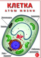 DVD "Клетка - "атом жизни" - fgospostavki.ru - Тихорецк