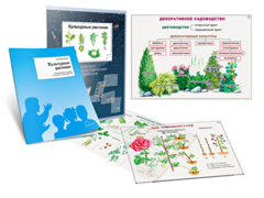 Комплект кодотранспарантов "Культурные растения" - fgospostavki.ru - Тихорецк