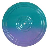 Диск здоровья (многоцветный) - fgospostavki.ru - Тихорецк