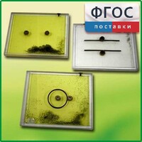 Набор для демонстрации электрических полей - fgospostavki.ru - Тихорецк