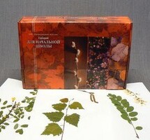 Гербарий для Начальной школы (28 видов) - fgospostavki.ru - Тихорецк