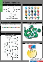 Комплект таблиц. Биология. Химия клетки. - fgospostavki.ru - Тихорецк