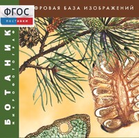 Ботаника. Микрофотографии. (Цифровая база изображений) - fgospostavki.ru - Тихорецк