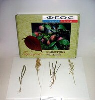 Гербарий "Культурные растения" (28 видов) - fgospostavki.ru - Тихорецк