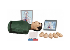 "Максим III" тренажер сердечно-легочной и мозговой реанимации - fgospostavki.ru - Тихорецк