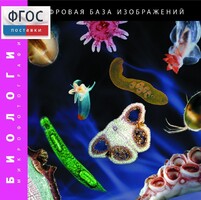 Биология. Микрофотографии. (Цифровая база изображений) - fgospostavki.ru - Тихорецк