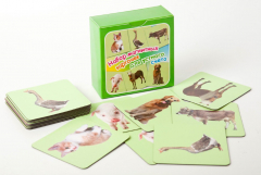 Набор магнитных карточек "Устный счет" (фон зеленый) - fgospostavki.ru - Тихорецк