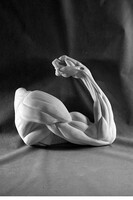 Рука согнутая в локте (гипс) - fgospostavki.ru - Тихорецк