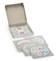 Модель-аппликация "Деление клетки" (набор из 5 карт) - fgospostavki.ru - Тихорецк