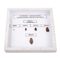 Коллекция "Развитие насекомых с неполным превращением" - fgospostavki.ru - Тихорецк