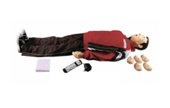 "Максим II-01" тренажер сердечно-легочной и мозговой реанимации - fgospostavki.ru - Тихорецк