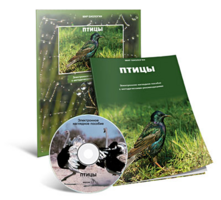 Электронное наглядное пособие «Птицы» - fgospostavki.ru - Тихорецк