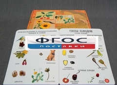 Коллекция "Семена и плоды" - fgospostavki.ru - Тихорецк