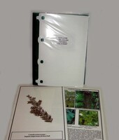 Гербарий "Эволюция высших растений" (ламинированный) - fgospostavki.ru - Тихорецк