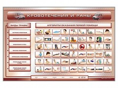 Трехсекционный базовый комплект "Травмы. Кровотечения. Ожоги" для учащихся общеобразовательных учреждений - fgospostavki.ru - Тихорецк