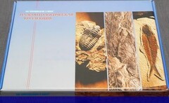Коллекция "Палеонтологическая" (16 образцов) - fgospostavki.ru - Тихорецк