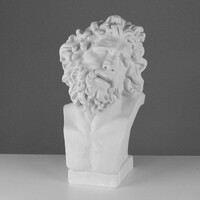 Бюст Лаокоона (гипс) - fgospostavki.ru - Тихорецк