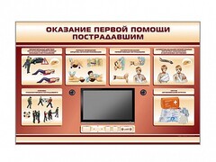 Многофункциональный интерактивный стенд-тренажер "Оказание первой помощи пострадавшим" для учащихся общеобразовательных учреждений - fgospostavki.ru - Тихорецк