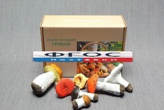 Набор муляжей грибов - fgospostavki.ru - Тихорецк