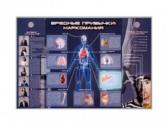 Электрифицированный стенд "Вредные привычки: наркомания" - fgospostavki.ru - Тихорецк