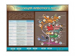 Интерактивный электрифицированный стенд "Эволюция животного мира" - fgospostavki.ru - Тихорецк