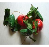 Ветка муляжей "Ассорти" (овощи) - fgospostavki.ru - Тихорецк