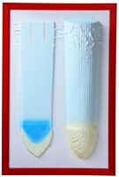 Барельефная модель "Клеточное строение корня" - fgospostavki.ru - Тихорецк