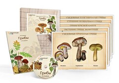 Комбинированное наглядное пособие  «Грибы» - fgospostavki.ru - Тихорецк