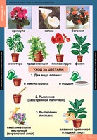 Комплект таблиц. Окружающий мир 1 класс. - fgospostavki.ru - Тихорецк