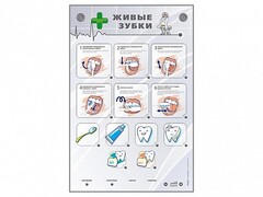 Интерактивный стенд "Живые зубки" - fgospostavki.ru - Тихорецк