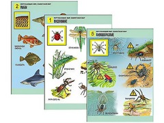 Комплект таблиц "Окружающий мир. Животный мир" (8 таблиц, А1, ламинированные) - fgospostavki.ru - Тихорецк